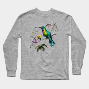 Vintage Hummingbird Illustration Long Sleeve T-Shirt